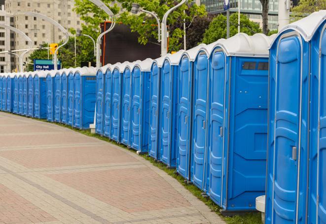 Seasonal porta potty units set up at a Cambridge, Maryland venue
